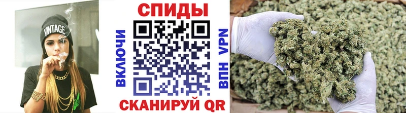 где продают   Светлоград  Бутират BDO 