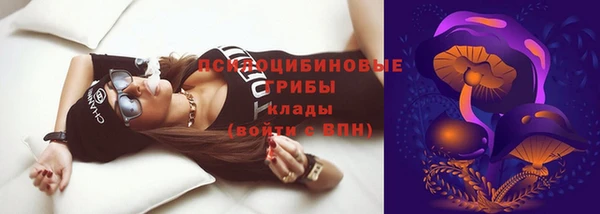 ECSTASY Алексеевка