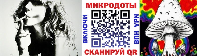 hydra вход  Светлоград  Галлюциногенные грибы Psilocybine cubensis 